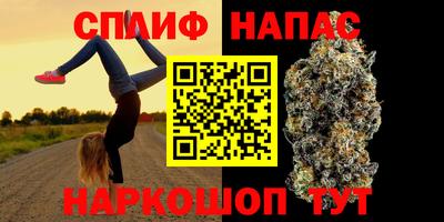прущие грибы Рузаевка
