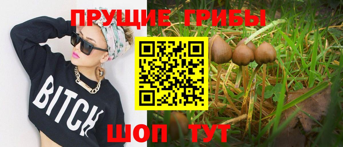 Галлюциногенные грибы мицелий Сланцы